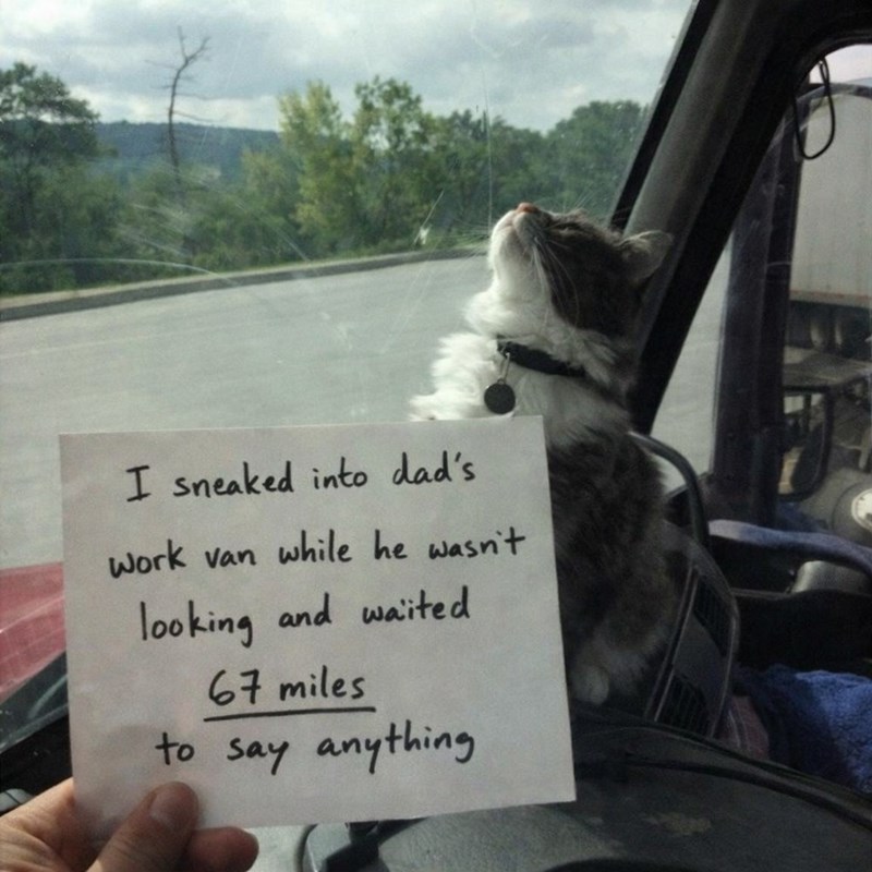 I sneaked into dad's Work van while he wasn't looking and waited 67 miles to say anything