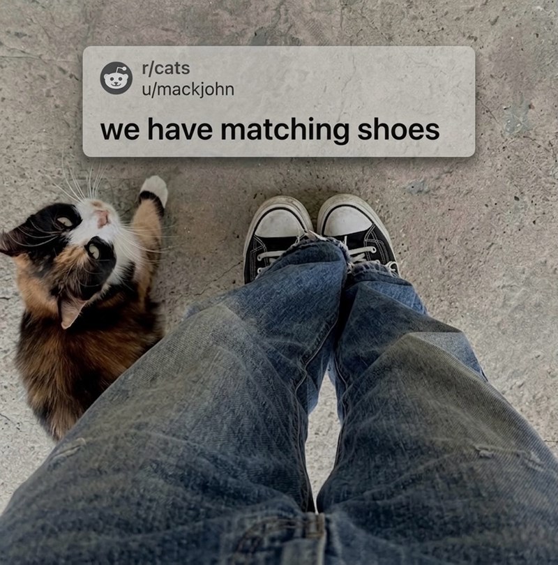 r/cats u/mackjohn we have matching shoes