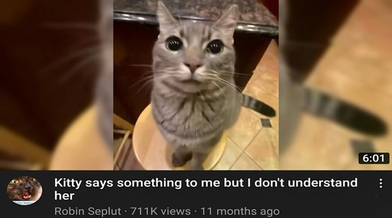 Kitty says something to me but I don't understand her Robin Seplut - 711K views • 11 months ago 6:01