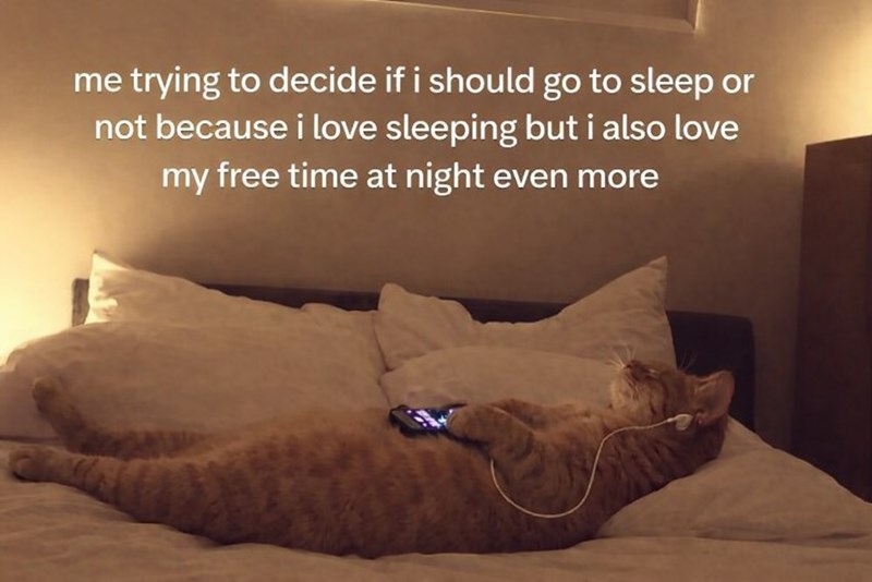 me trying to decide if i should go to sleep or not because i love sleeping but i also love my free time at night even more
