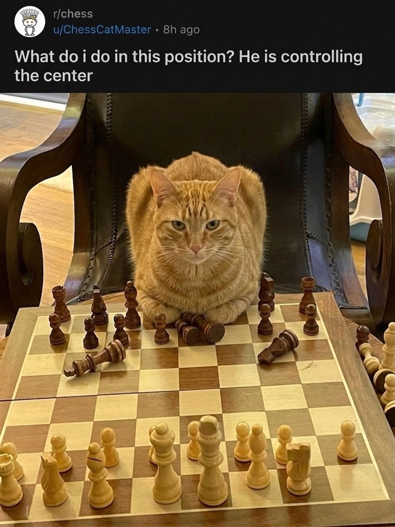 r/chess u/ChessCatMaster • 8h ago . What do i do in this position? He is controlling the center