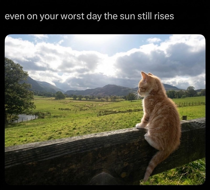 even on your worst day the sun still rises