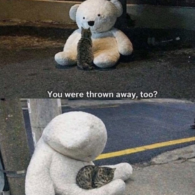 You were thrown away, too?