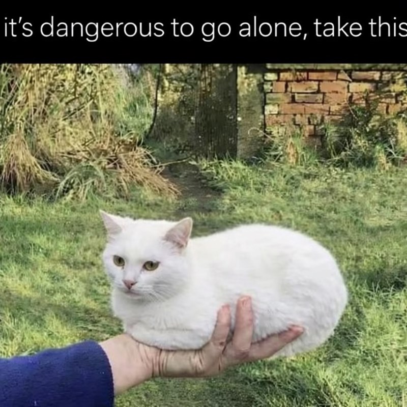 it's dangerous to go alone, take this