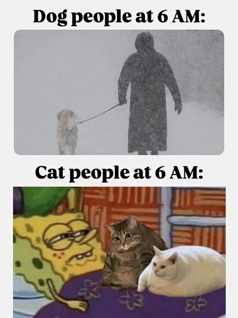 Dog people at 6 AM: Cat people at 6 AM: At