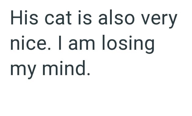 His cat is also very nice. I am losing my mind.