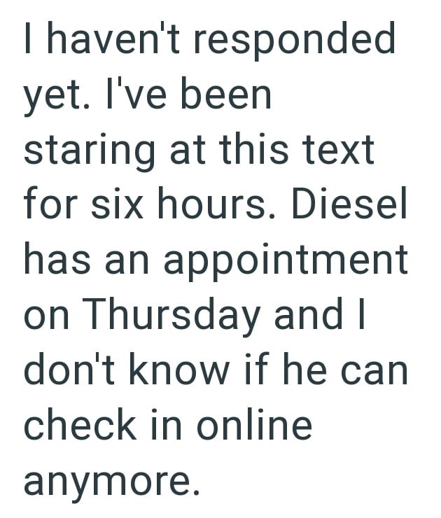 I haven't responded yet. I've been staring at this text for six hours. Diesel has an appointment on Thursday and I don't know if he can check in online anymore.