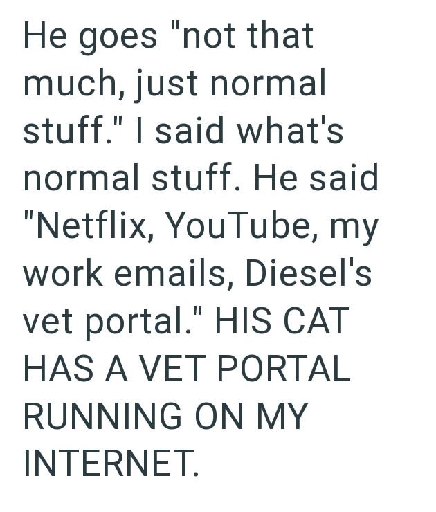 He goes "not that much, just normal stuff." I said what's normal stuff. He said "Netflix, YouTube, my work emails, Diesel's vet portal." HIS CAT HAS A VET PORTAL RUNNING ON MY INTERNET.