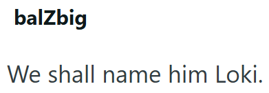 balZbig We shall name him Loki.