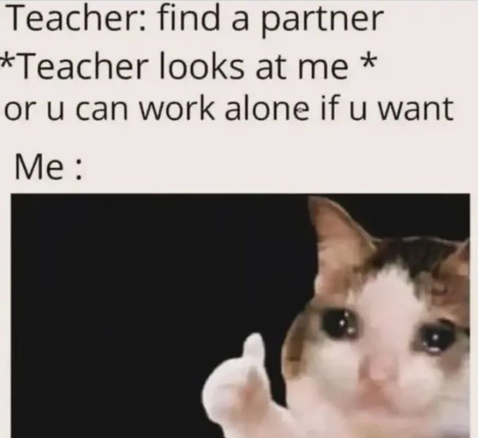 Teacher: find a partner *Teacher looks at me * or u can work alone if u want Me: