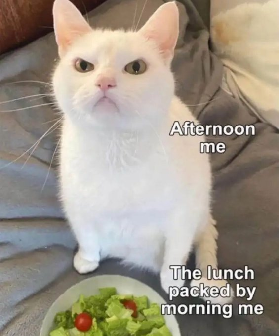 Afternoon me The lunch packed by morning me