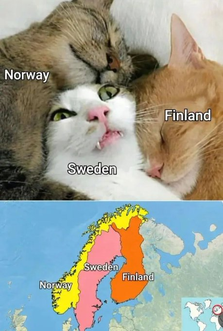 Norway Sweden Norway Sweden Finland Finland
