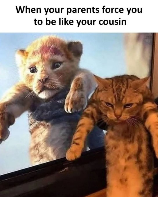 When your parents force you to be like your cousin