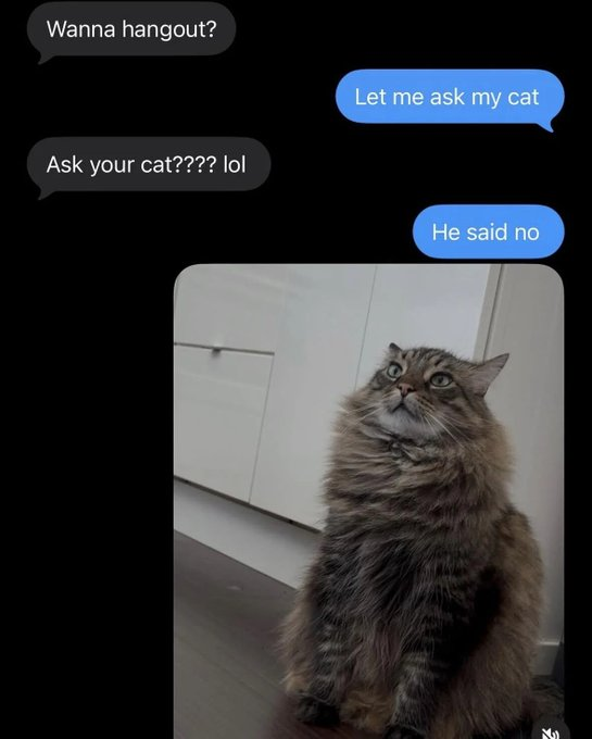 Wanna hangout? Ask your cat???? lol Let me ask my cat He said no