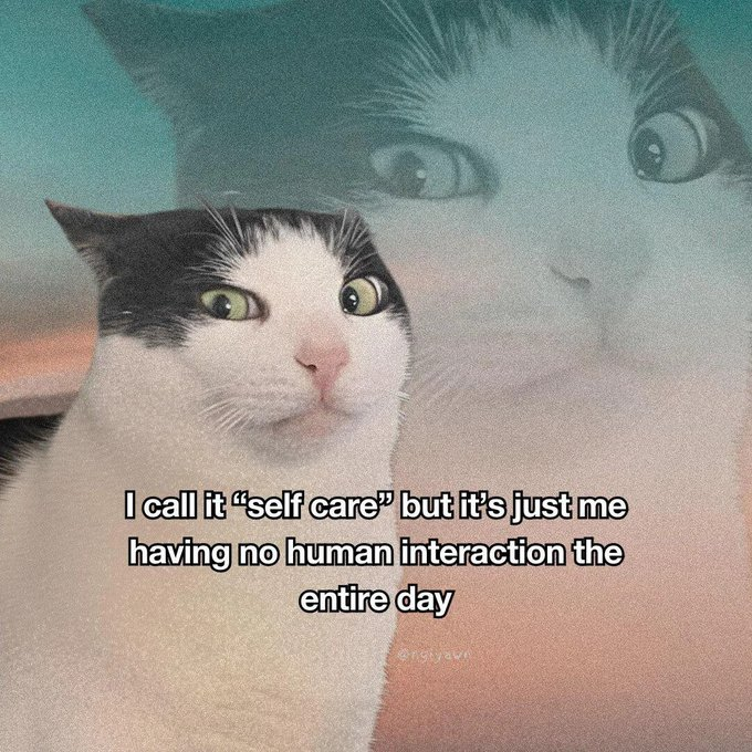 I call it "self care" but it's just me having no human interaction the entire day
