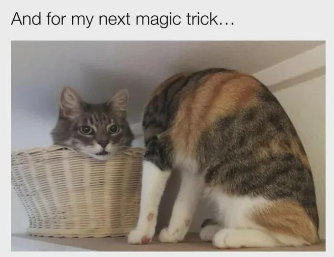 And for my next magic trick...
