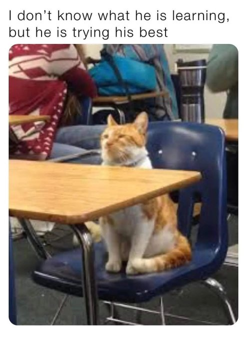 I don't know what he is learning, but he is trying his best