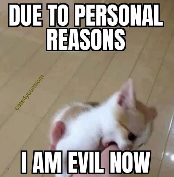 DUE TO PERSONAL REASONS cats4yourmom I AM EVIL NOW