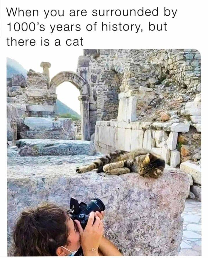 When you are surrounded by 1000's years of history, but there is a cat