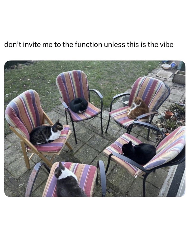 don't invite me to the function unless this is the vibe