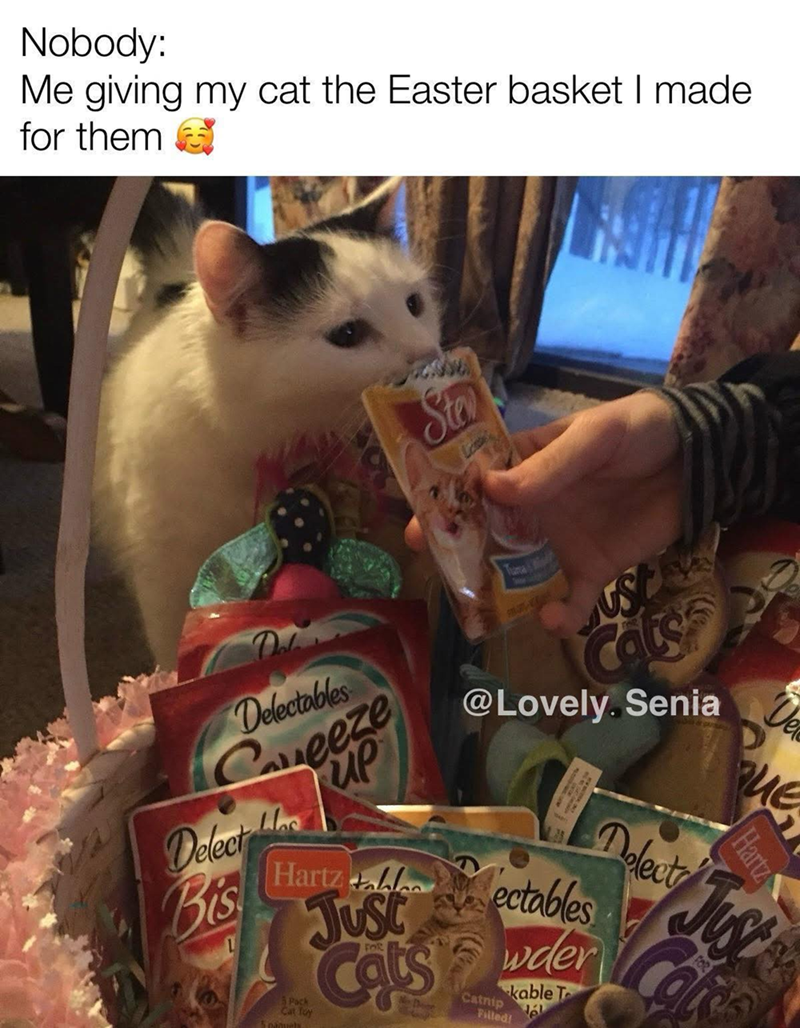 Nobody: Me giving my cat the Easter basket I made. for them Stev Dal Delectables Caveeze UP Delect Me Bis @Lovely. Senia Hartz lectables wder Pack Cat Toy Just Cats No Door Catnip Filled! kable T Hel Que Hartz Delect Just