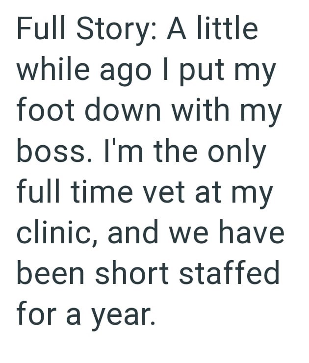 Full Story: A little while ago I put my foot down with my boss. I'm the only full time vet at my clinic, and we have been short staffed for a year.