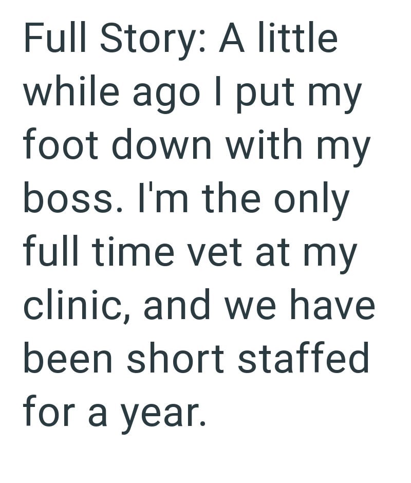 Full Story: A little while ago I put my foot down with my boss. I'm the only full time vet at my clinic, and we have been short staffed for a year.
