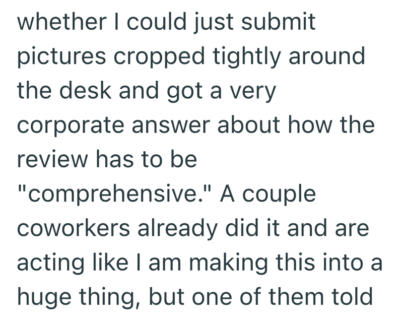 whether I could just submit pictures cropped tightly around the desk and got a very corporate answer about how the review has to be "comprehensive." A couple coworkers already did it and are acting like I am making this into a huge thing, but one of them told