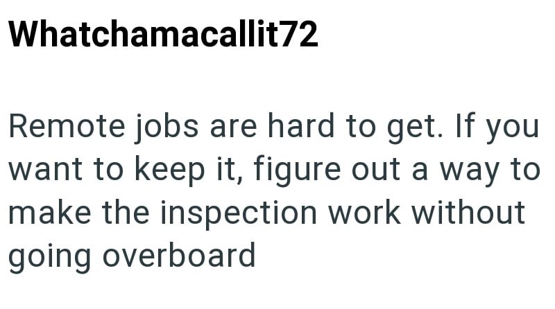 Whatchamacallit72 Remote jobs are hard to get. If you want to keep it, figure out a way to make the inspection work without going overboard