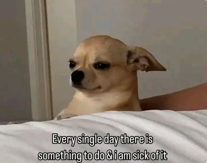 Every single day there is something to do & i am sick of it