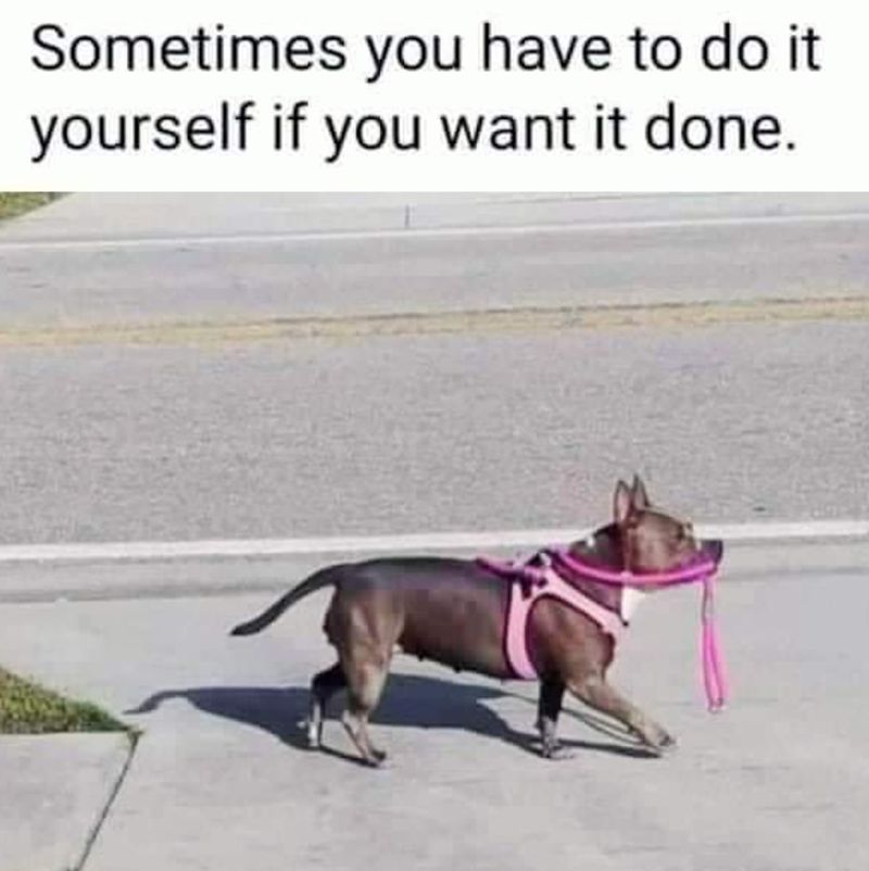 Sometimes you have to do it yourself if you want it done.