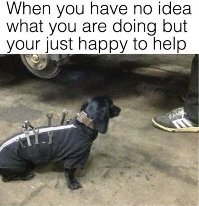 When you have no idea. what you are doing but your just happy to help