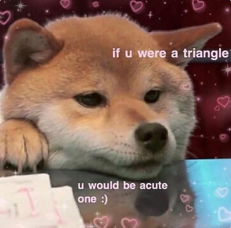 if u were a triangle u would be acute one :) 3+ C