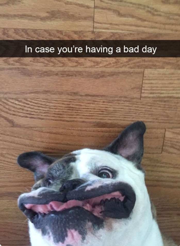 In case you're having a bad day