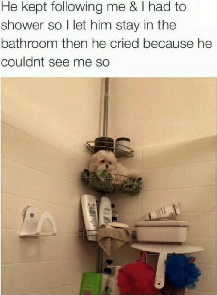 He kept following me & I had to shower so I let him stay in the bathroom then he cried because he couldnt see me so