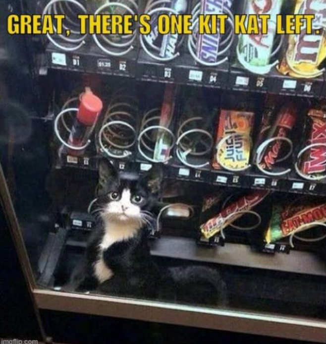 GREAT THERE'S ONE KIT KAT LEFT. E imgflip.com חול | ___ כנה!! EAT-MOL