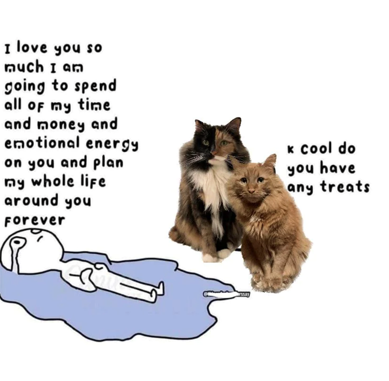 I love you so much I am going to spend all of my time and money and emotional energy on you and plan my whole life around you Forever k cool do you have any treats ssay