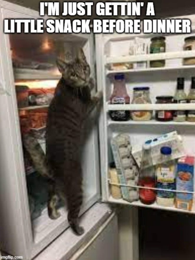 I'M JUST GETTIN' A LITTLE SNACK BEFORE DINNER imgflip.com 14