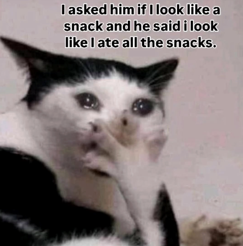 I asked him if I look like a snack and he said i look like I ate all the snacks.