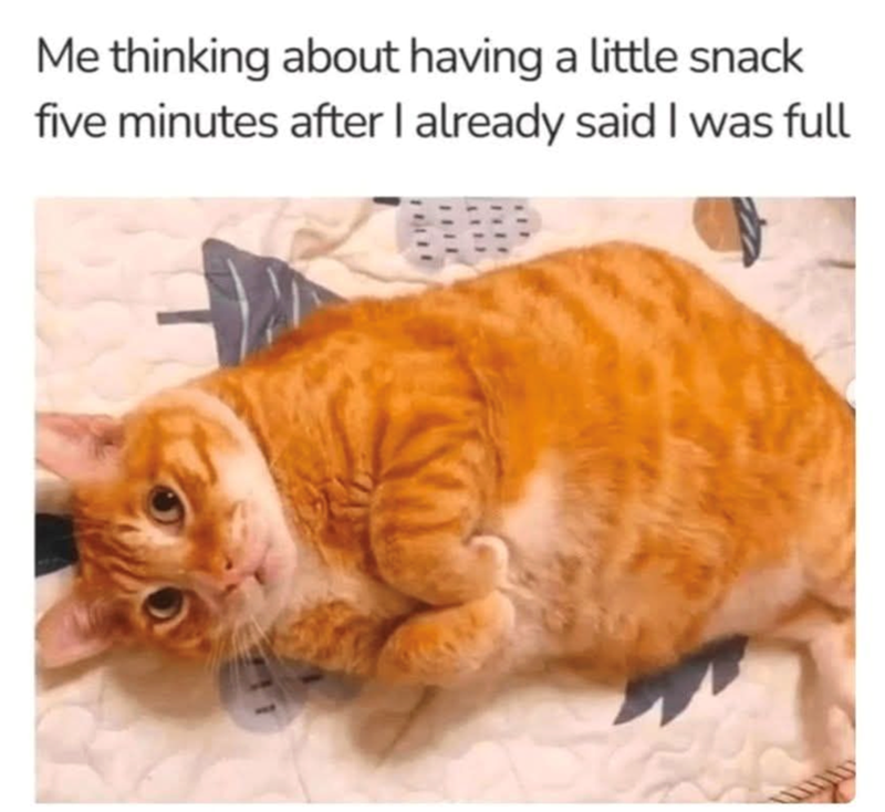 Me thinking about having a little snack five minutes after I already said I was full