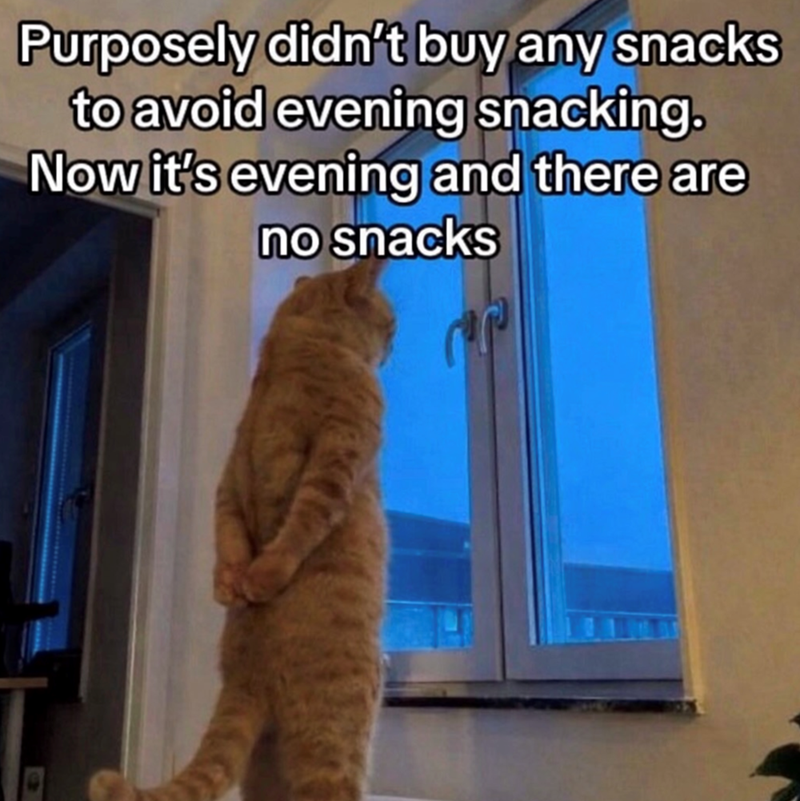 Purposely didn't buy any snacks to avoid evening snacking. Now it's evening and there are no snacks