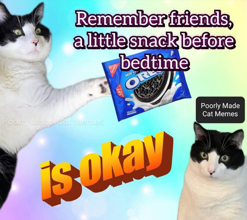 Remember friends, a little snack before bedtime Milk's OR Poorly Made Cat Memes SEALED Poorly Made Cat Memes is okay