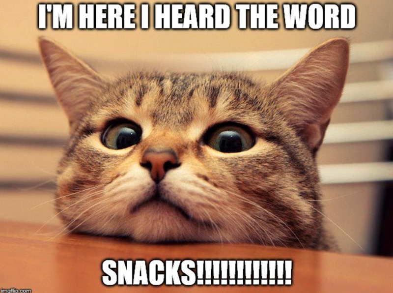 imaflip.com I'M HERE I HEARD THE WORD SNACKS!!!!!!!!!!!!