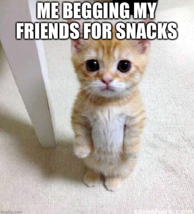 ME BEGGING MY FRIENDS FOR SNACKS imgflip.com
