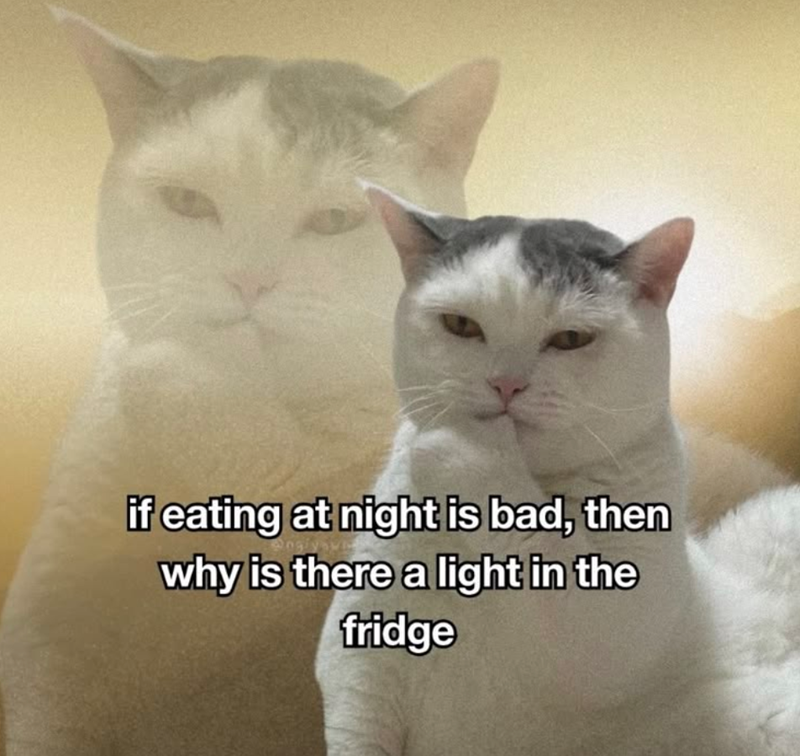 if eating at night is bad, then why is there a light in the fridge