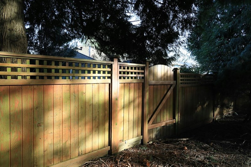 Tall privacy fence in a sunny yard with trees and shade, suburban neighborhood