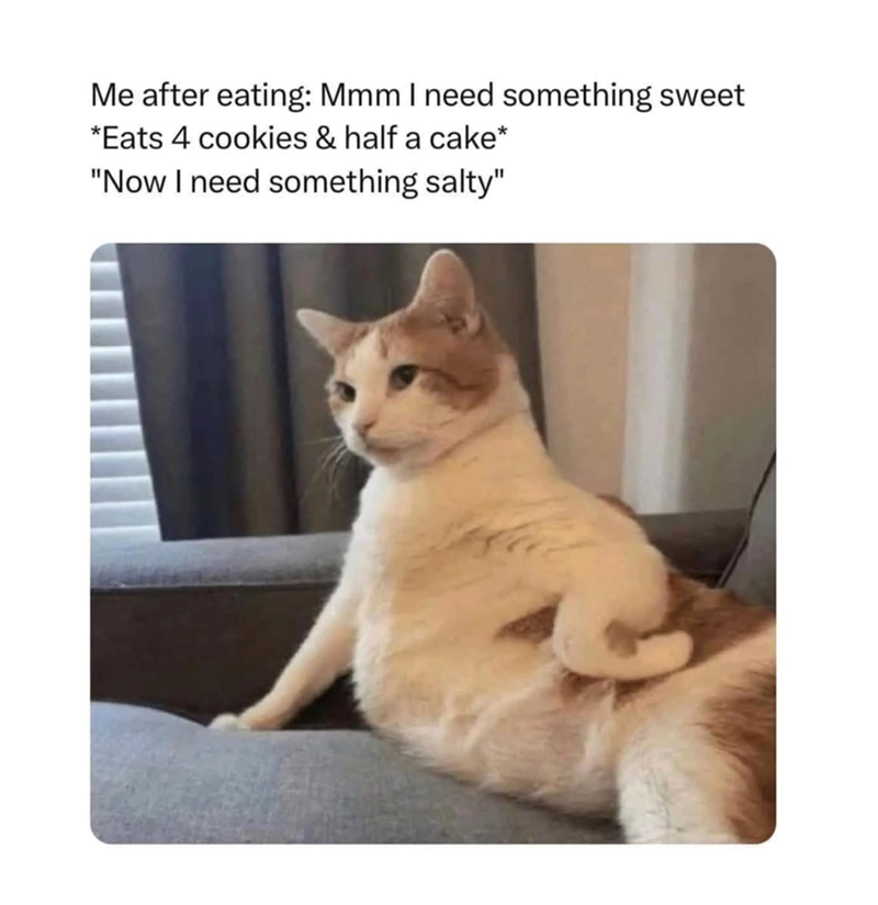 Me after eating: Mmm I need something sweet *Eats 4 cookies & half a cake* "Now I need something salty"