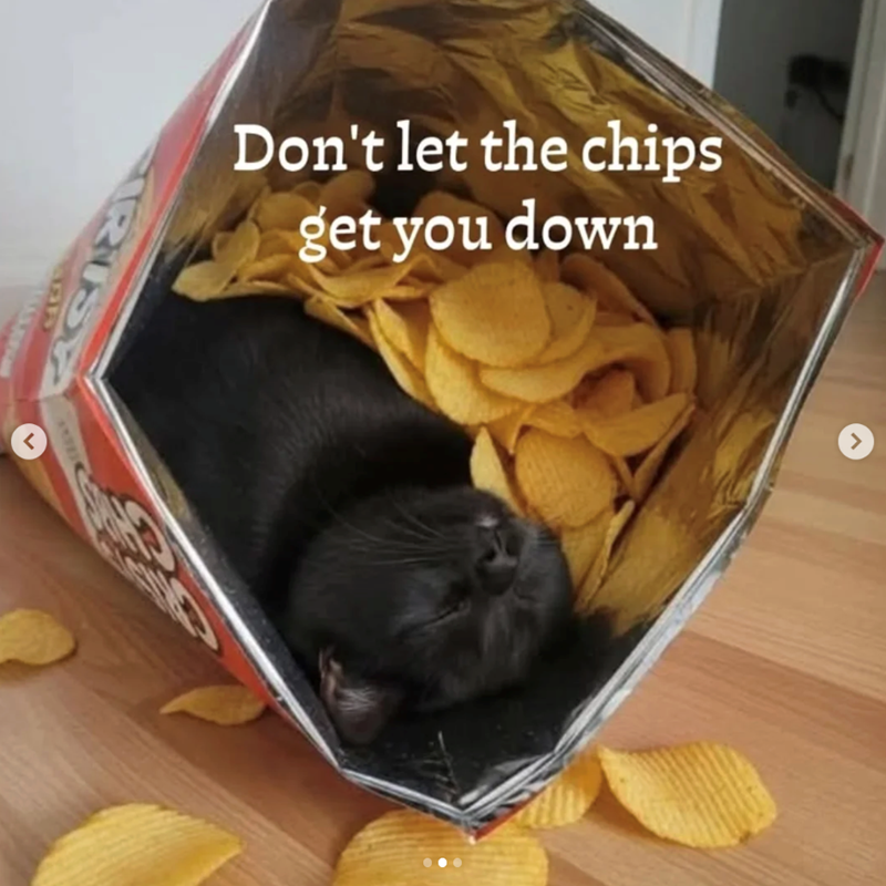 r RUSA CD Don't let the chips get you down >