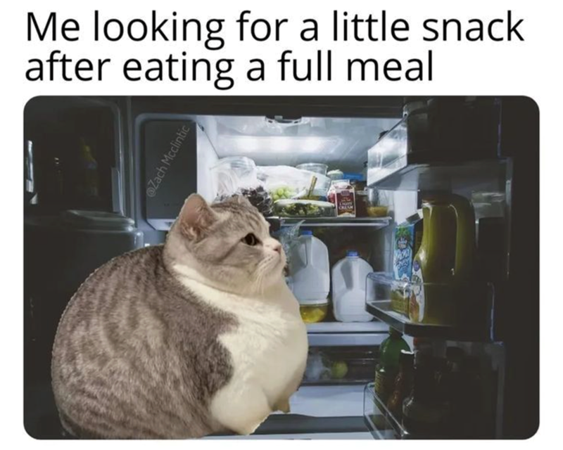 Me looking for a little snack after eating a full meal Zach Mcclintic