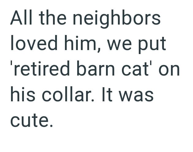 All the neighbors loved him, we put 'retired barn cat' on his collar. It was cute.